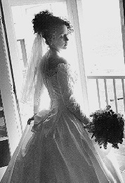 Wedding Gallery #4